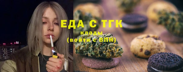 индика Бабаево