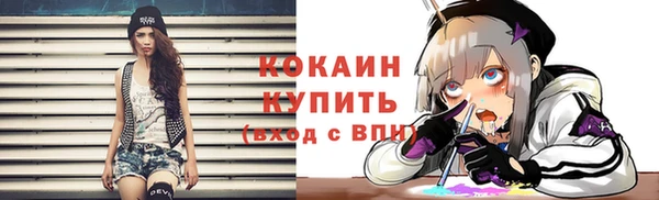 гашик Краснослободск