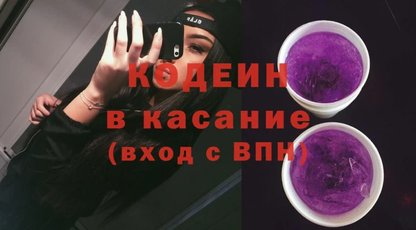 гашик Краснослободск