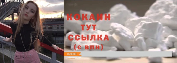 гашик Краснослободск