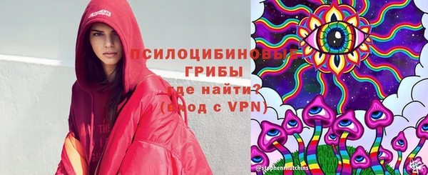 гашик Краснослободск