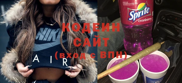 гашик Краснослободск