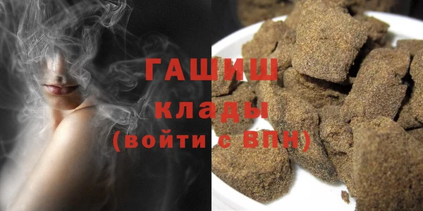 крисы Кулебаки