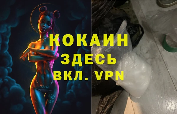 гашик Краснослободск
