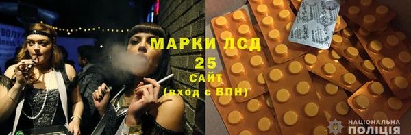 гашик Краснослободск