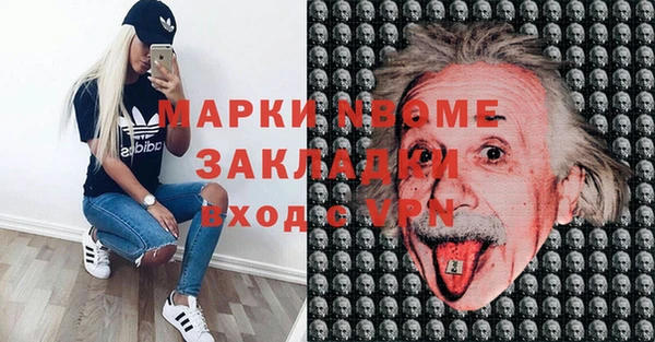 гашик Краснослободск