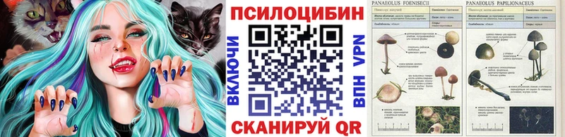omg зеркало  Полесск  Галлюциногенные грибы Cubensis  купить наркотик 